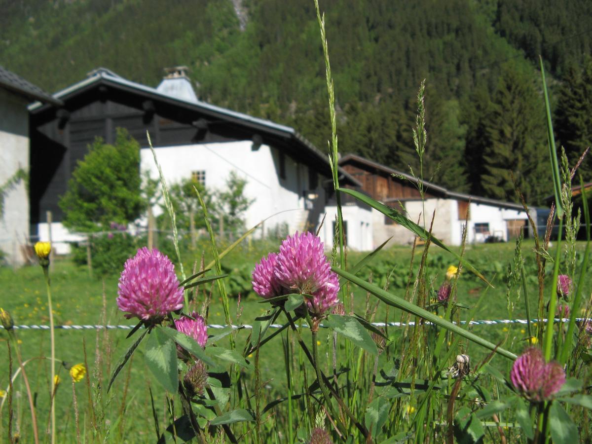 Gite Nouveau Grassonnet Chamonix Buitenkant foto
